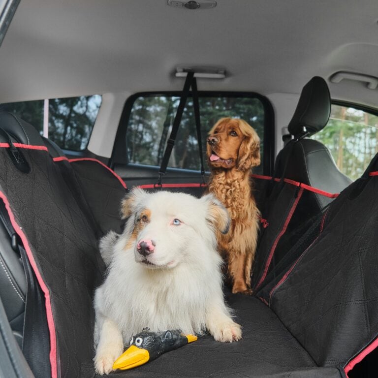 USF Pet Care pour l'intérieur de votre voiture